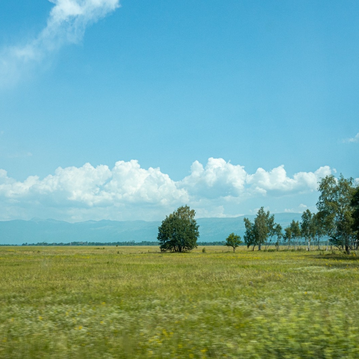 زمین فروشی دو