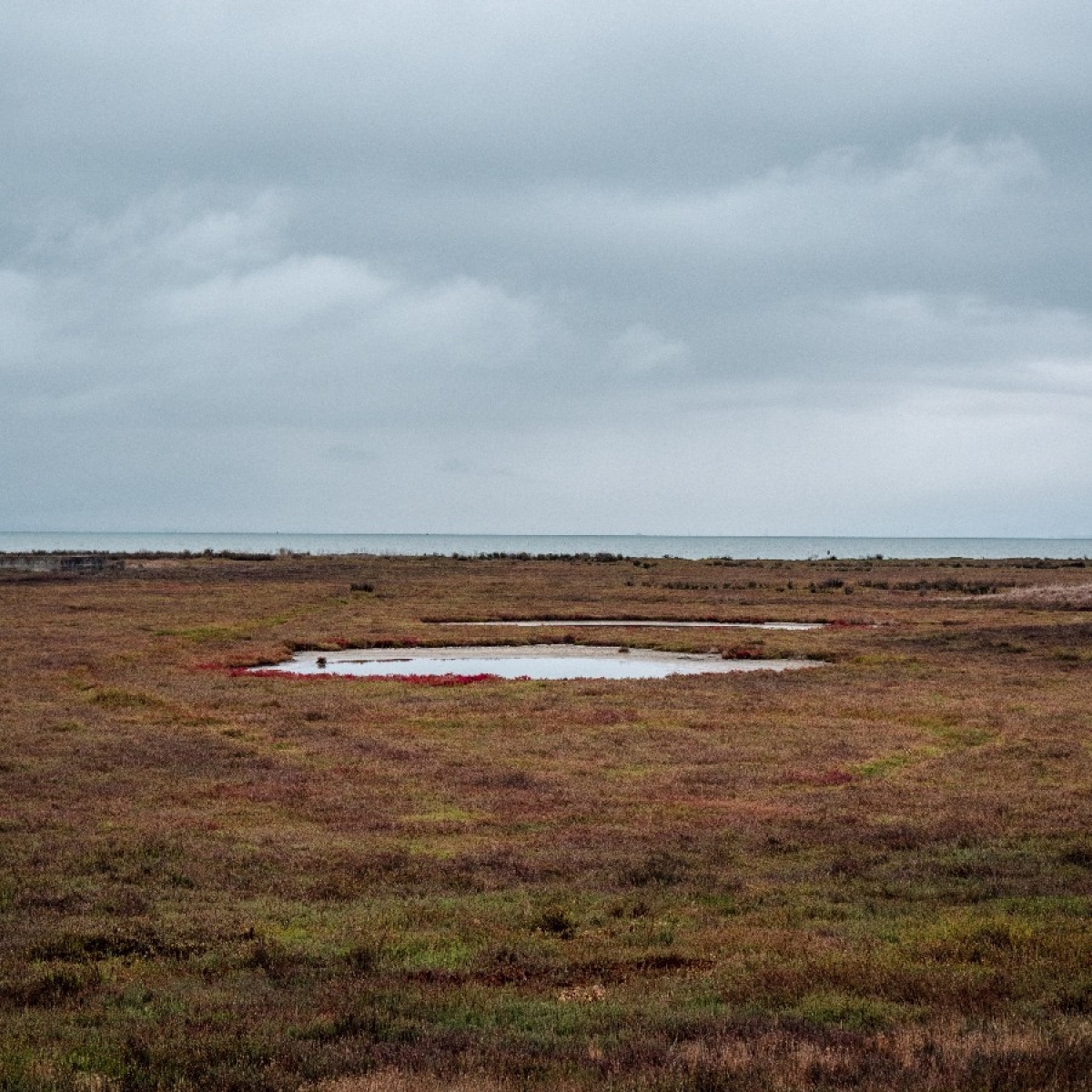 زمین کنار دریاچه